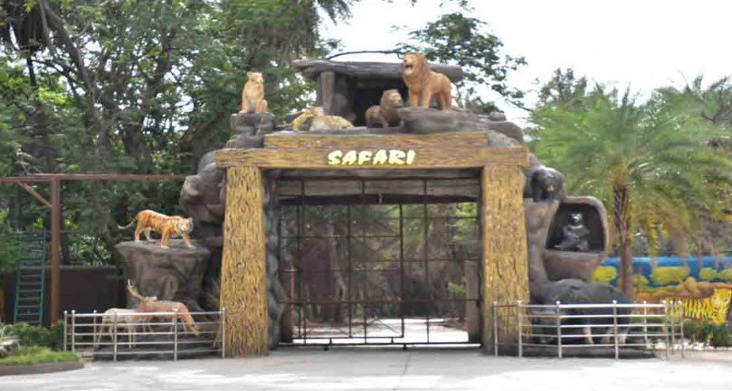 Tiger Safari, Hyderabad, Telangana - Vushii.com